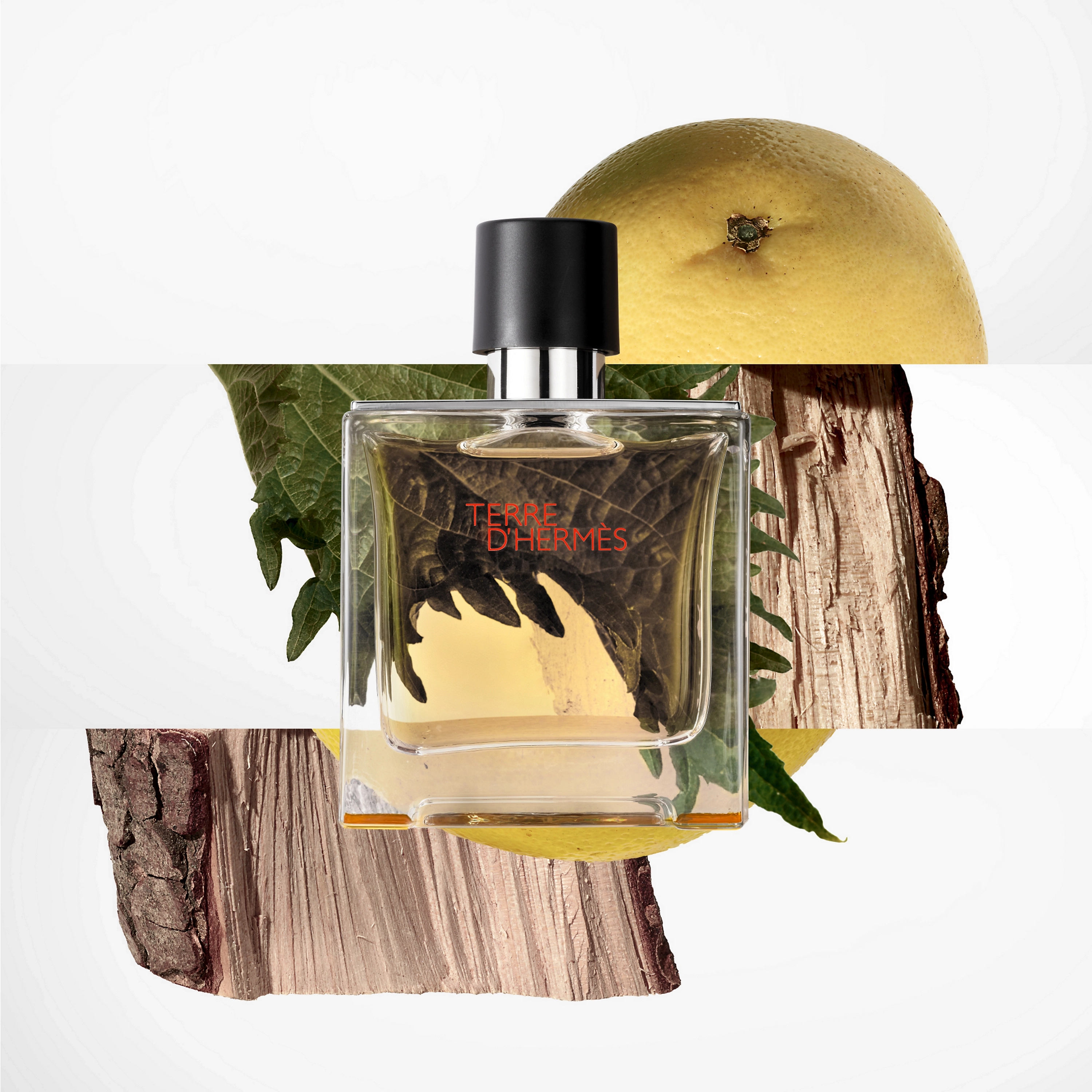 Səhranın ətri — Terre d’Hermès